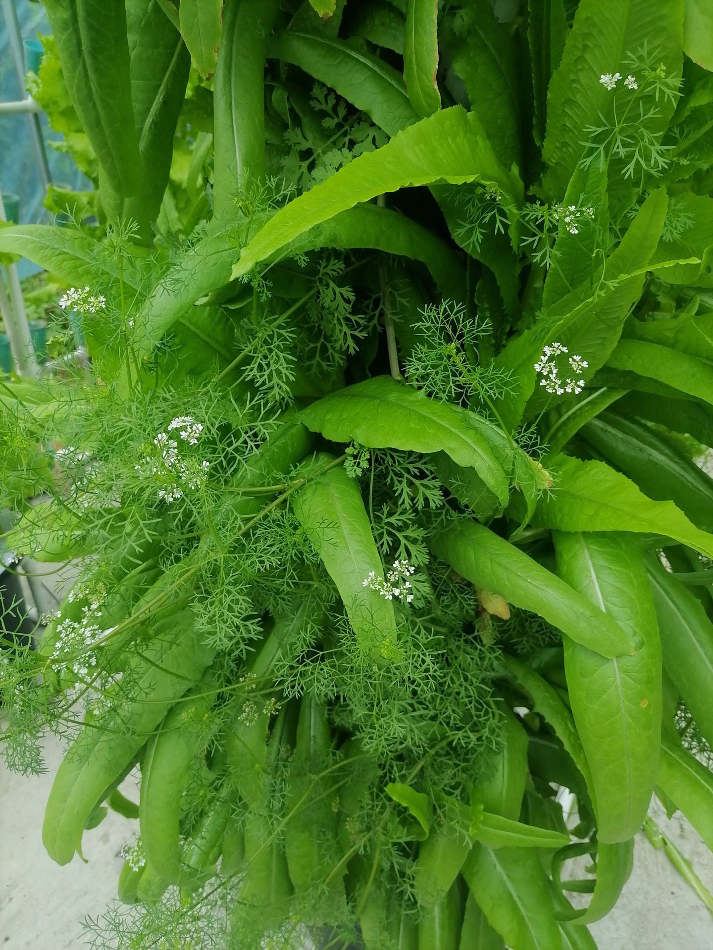 微信图片_20240625143150