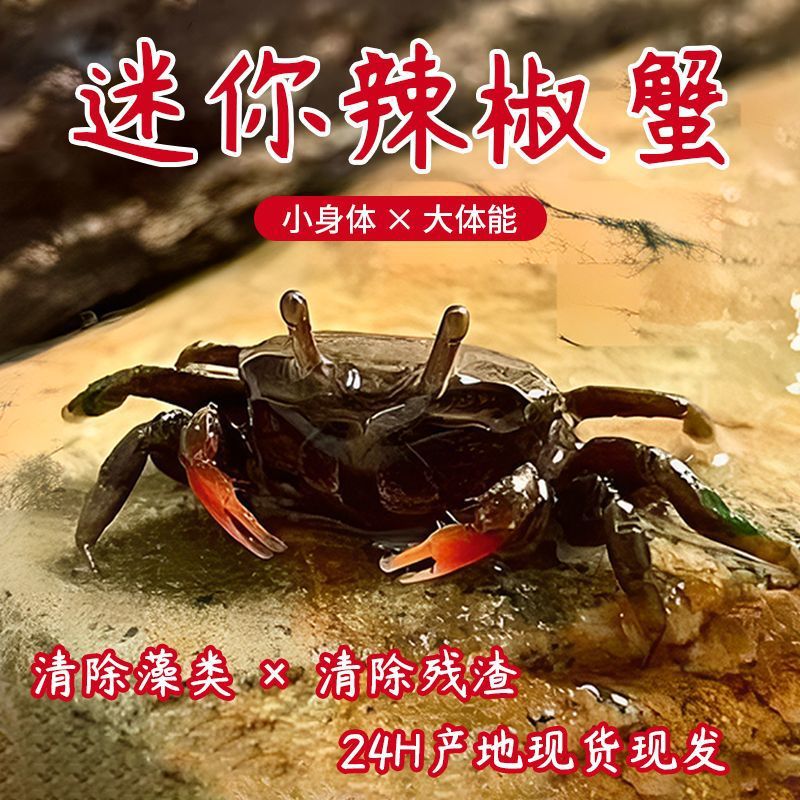 6c8e037a-ba26-428e-a95a-4a8ab37e9d50.jpe