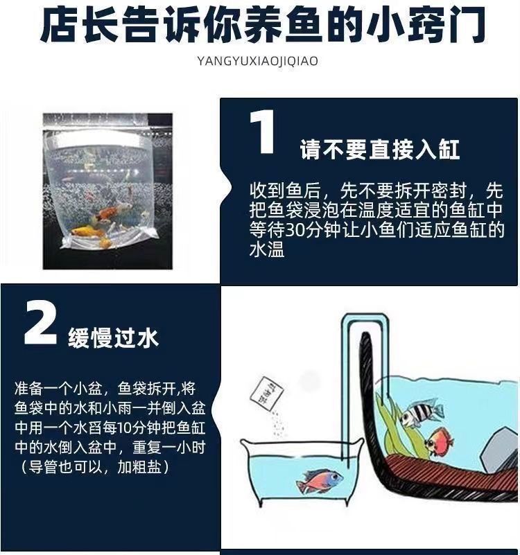 bd65369f-4005-44b7-bc7a-ca3696f5c985.jpe