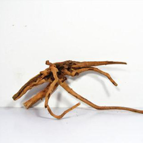 9095bf8e-2287-4afc-bf67-6882f846952c.jpe