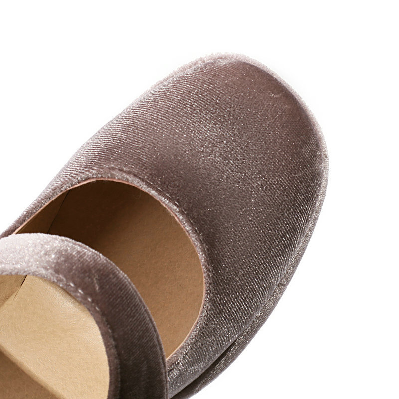 20230211 蒲公英-7530 (22).JPG