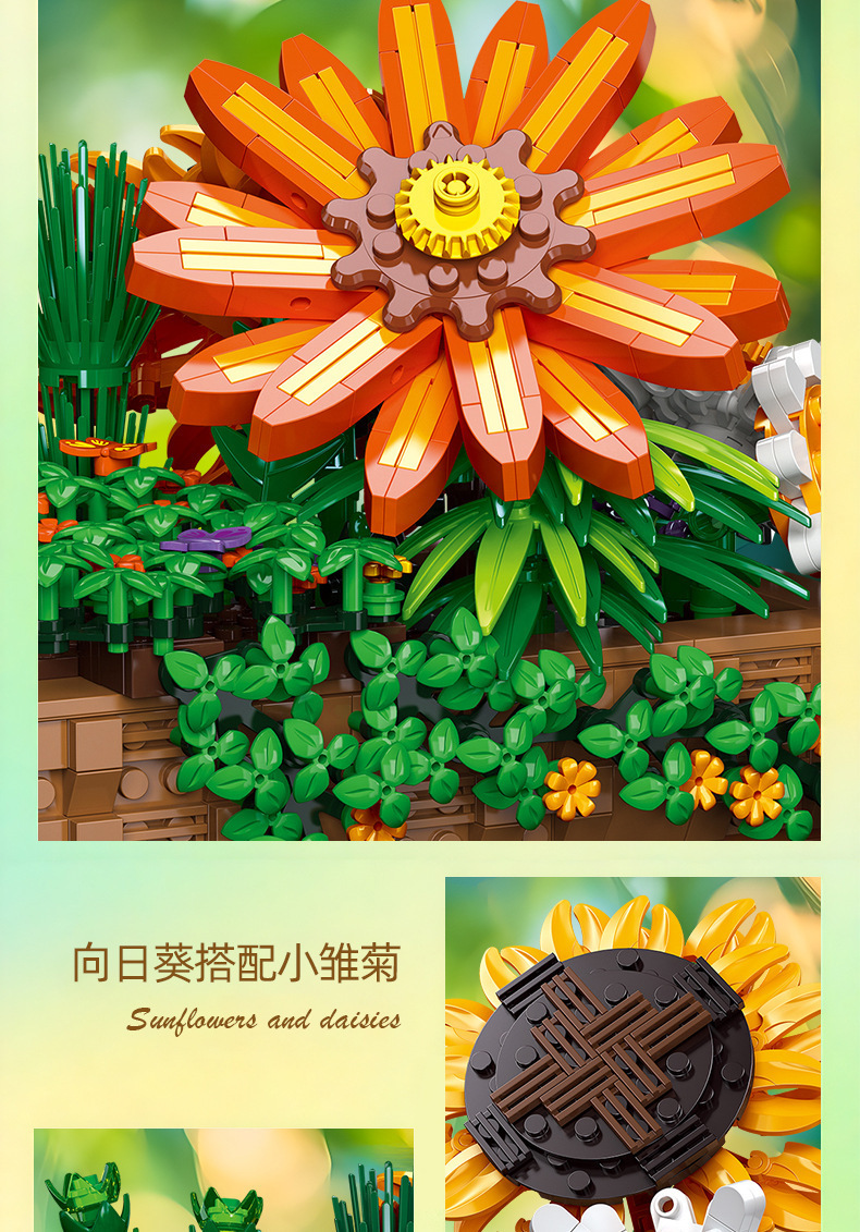 详情-35.jpg