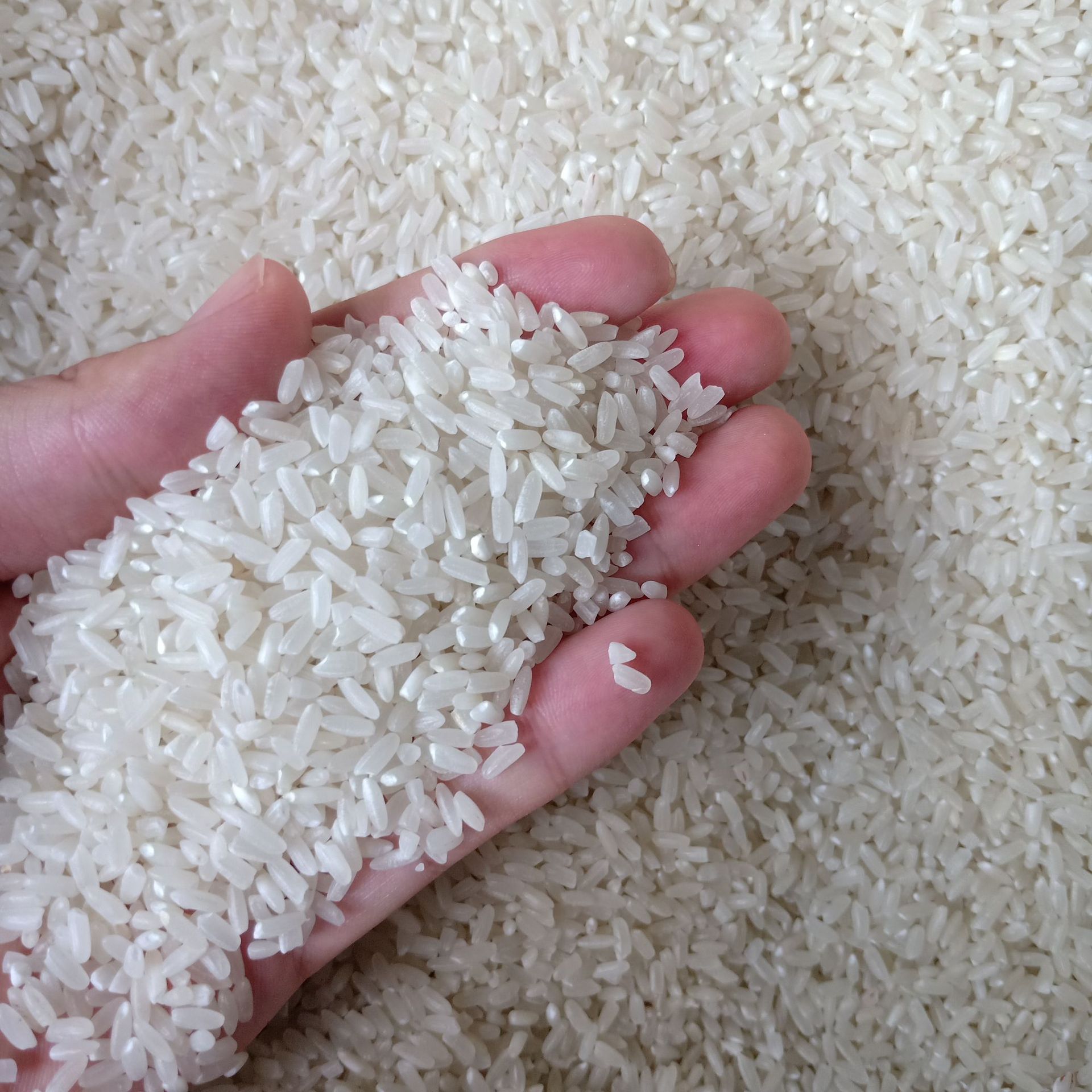 微信图片_202008191416032