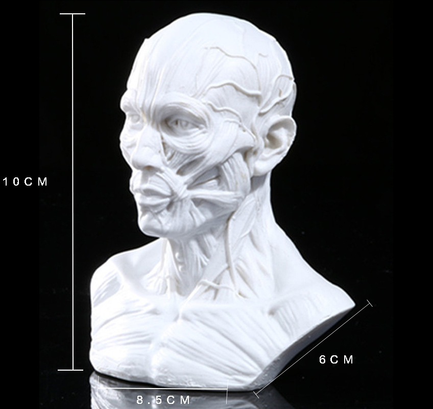 骷髅头-140 (3)_副本