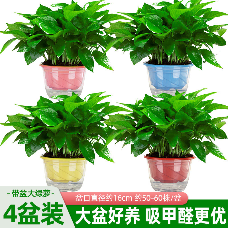 e3ef245c-08fa-4294-9647-634654d4f70a.jpe