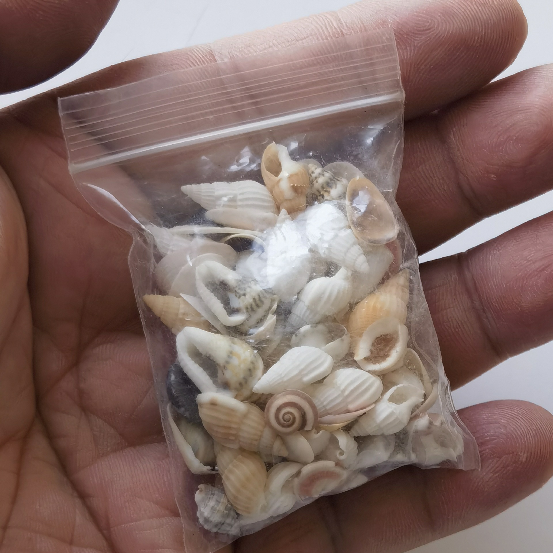 微信图片_20221209151924