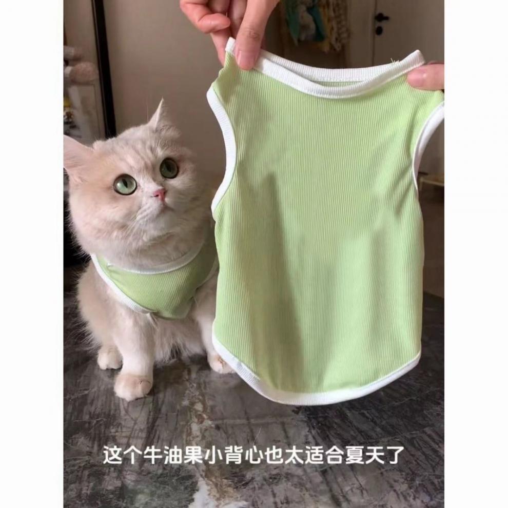 3d7c7876-ff4a-4289-a428-08597e8fc3b7.jpe