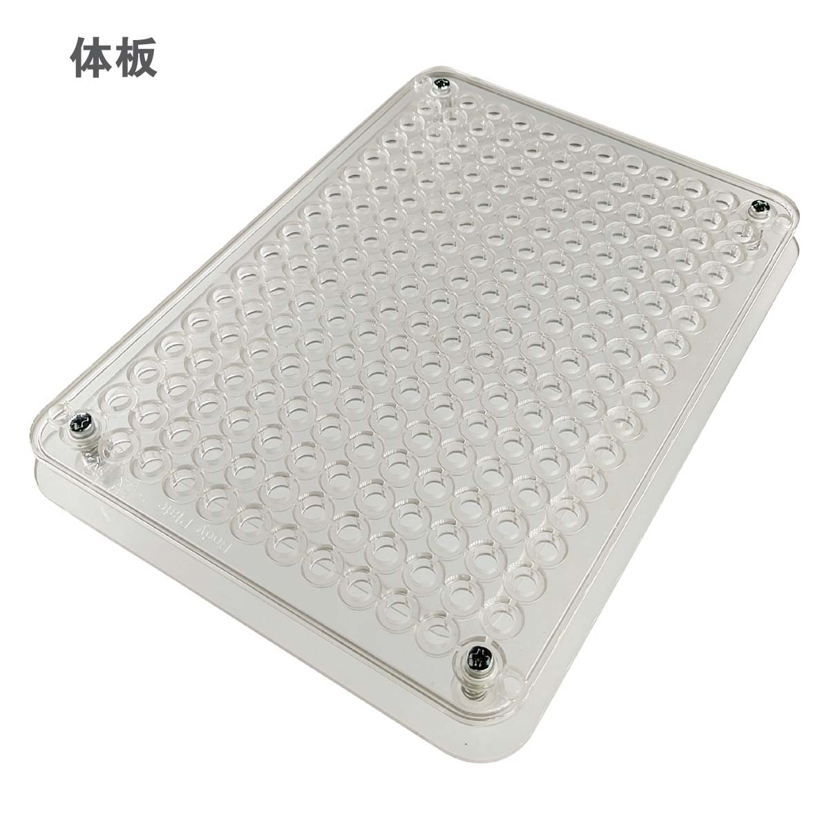 体板 拷贝.jpg