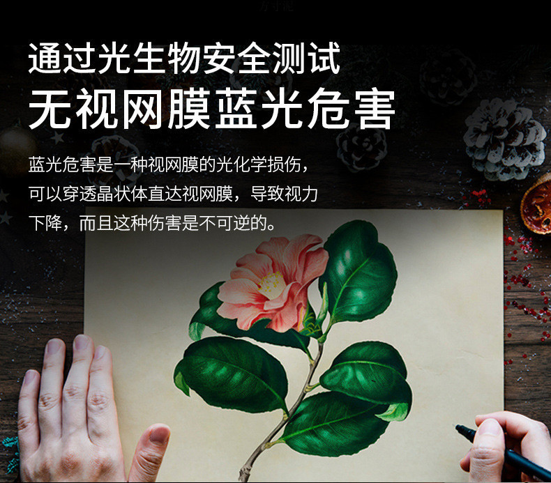 66784346-ea53-4354-8ce6-ae80d878dd1c.jpe