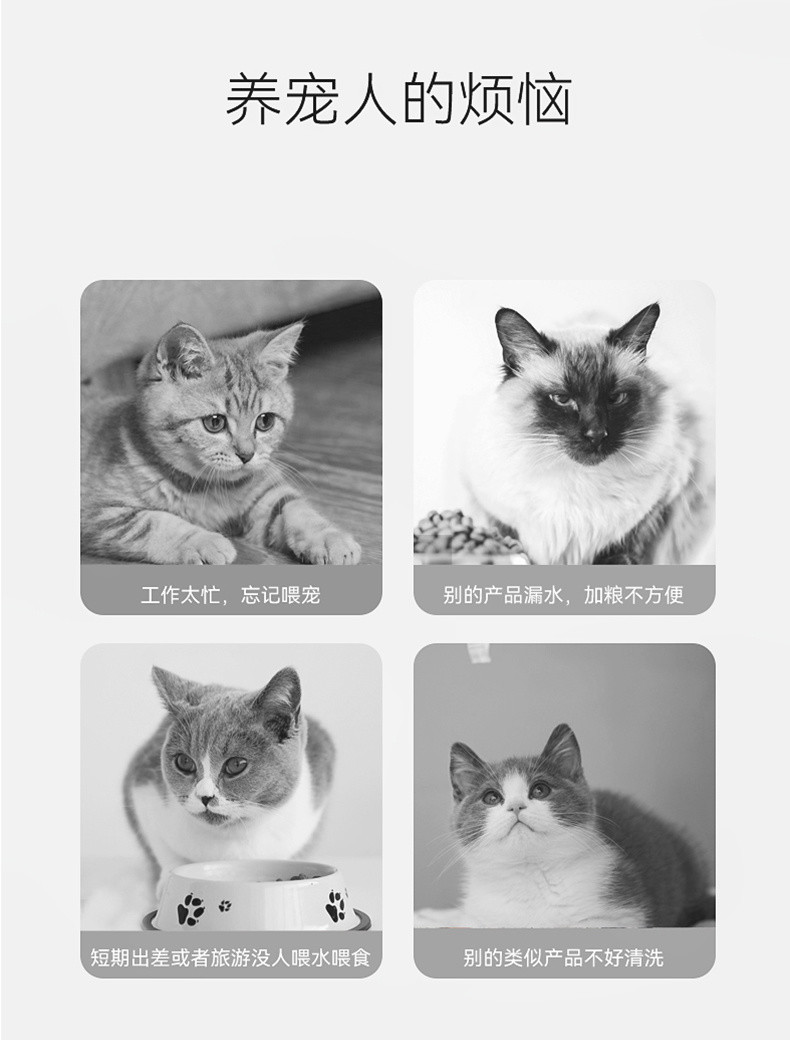 18c72941-faa6-4c93-a985-fdfce5959721.jpe