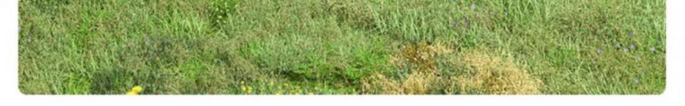 12c0b2ac-d019-497b-b712-c8eb837e4894.jpe