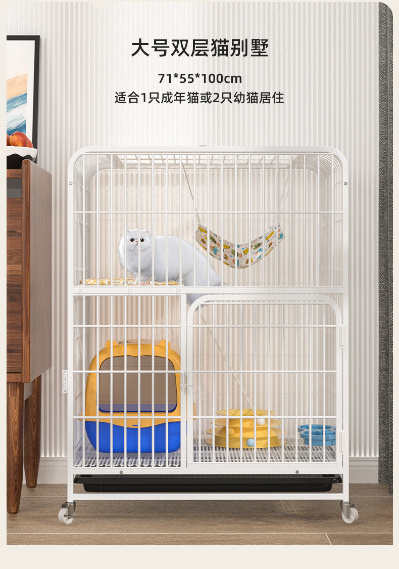 e9d8c6f0-31f7-4de5-8e9e-f39d159c16a1.jpe