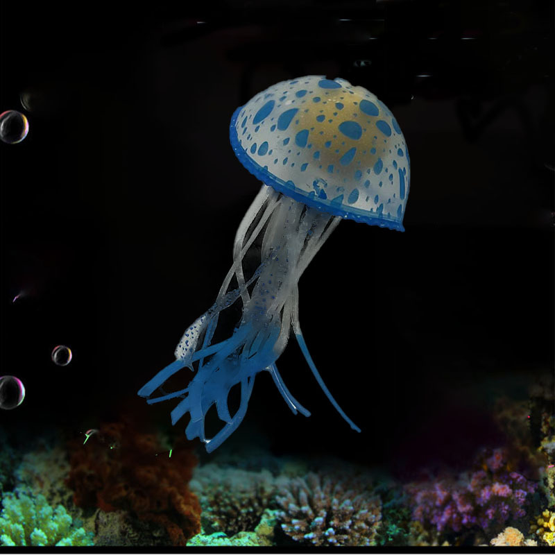 蓝色水母.jpg