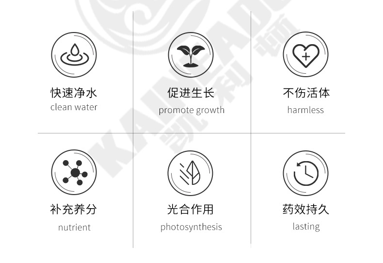 水族药水_02.jpg