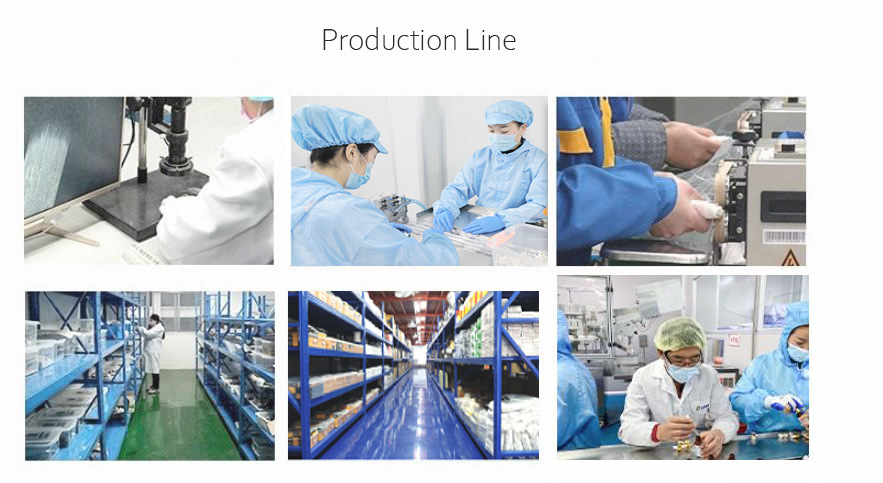 Needle Plant-001.jpg