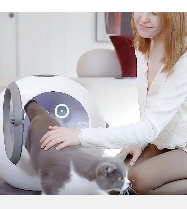 8f159157-ca7f-4798-9666-b2740a0bbd78.jpe