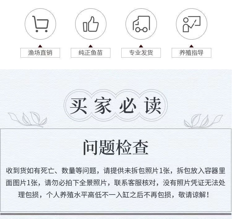 d922423b-9e87-42e7-961f-26569ff2e3eb.jpe
