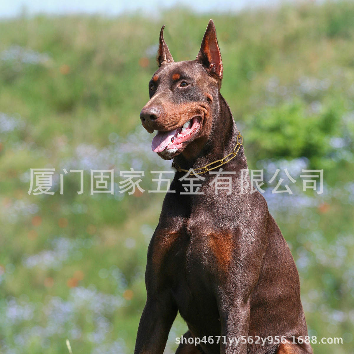 9204