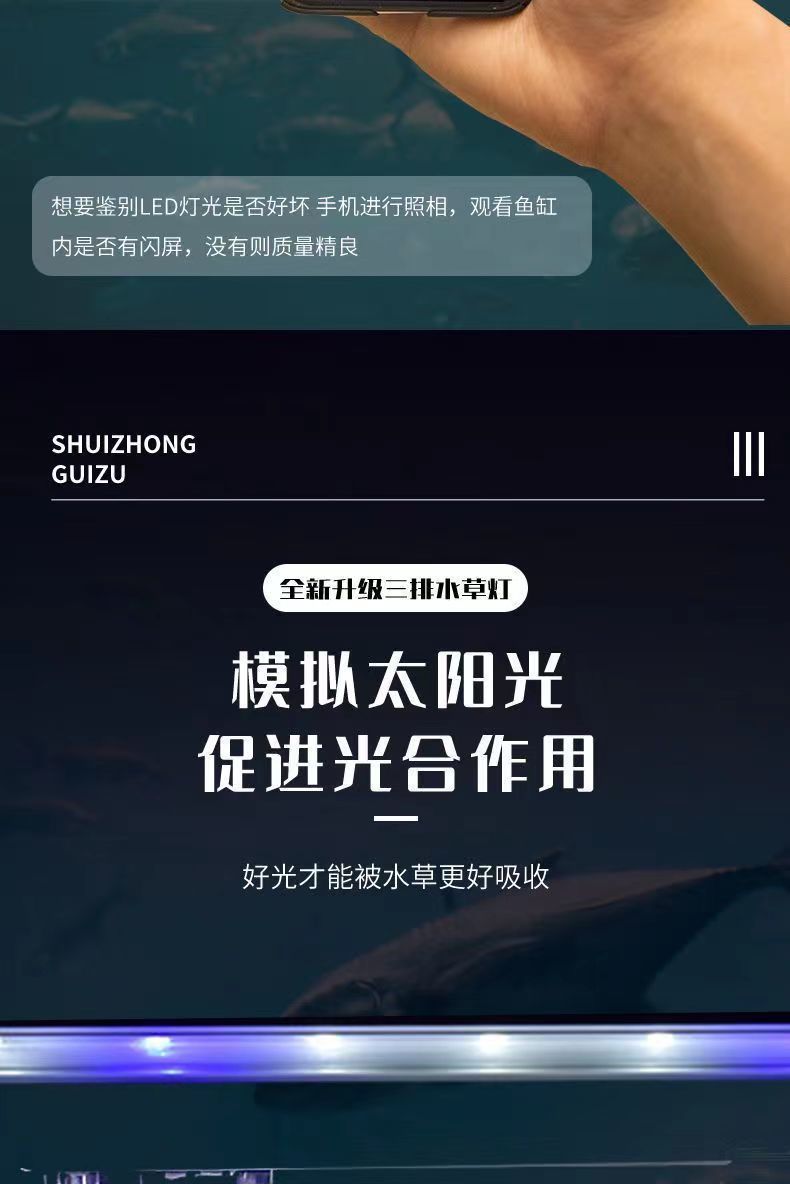 a0b2794f-1945-4232-814f-2b4cda16bf4b.jpe