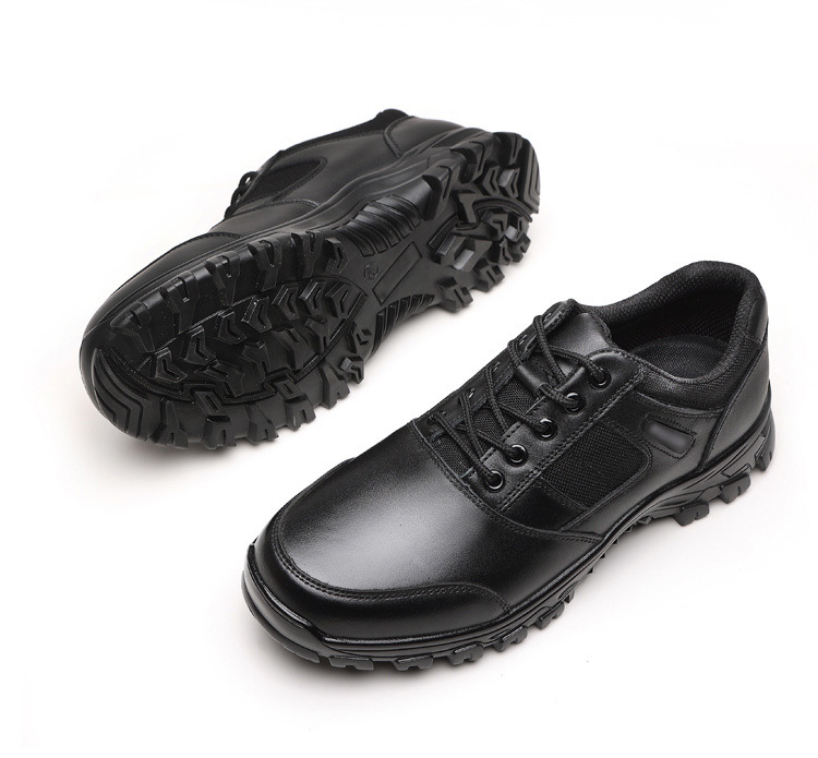 2dc74d84-65c0-4285-9ed0-695dfc4b98b8.jpe