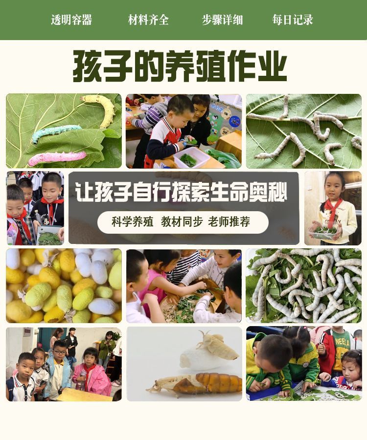 c9bc3233-79a4-486e-9e28-ff405000ad94.jpe
