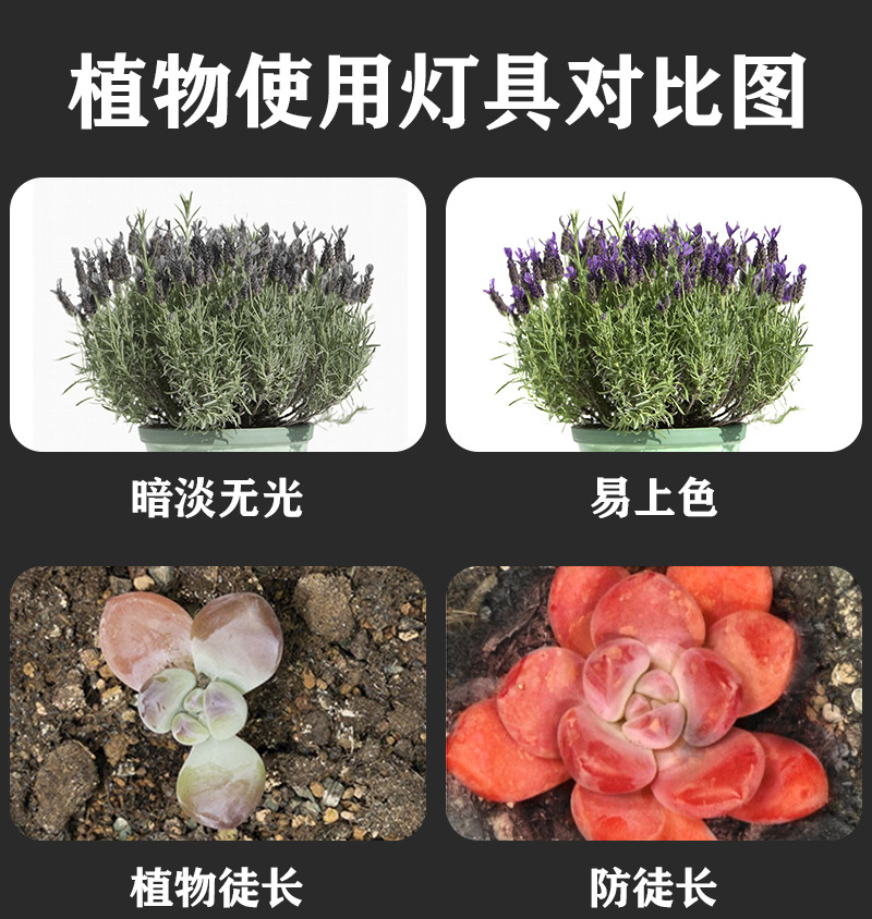 全光谱植物灯N款_03.jpg