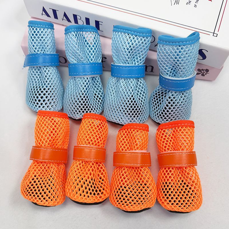 bc8ff5c9-6ec0-4ed5-8a61-00e309f4be5c.jpe