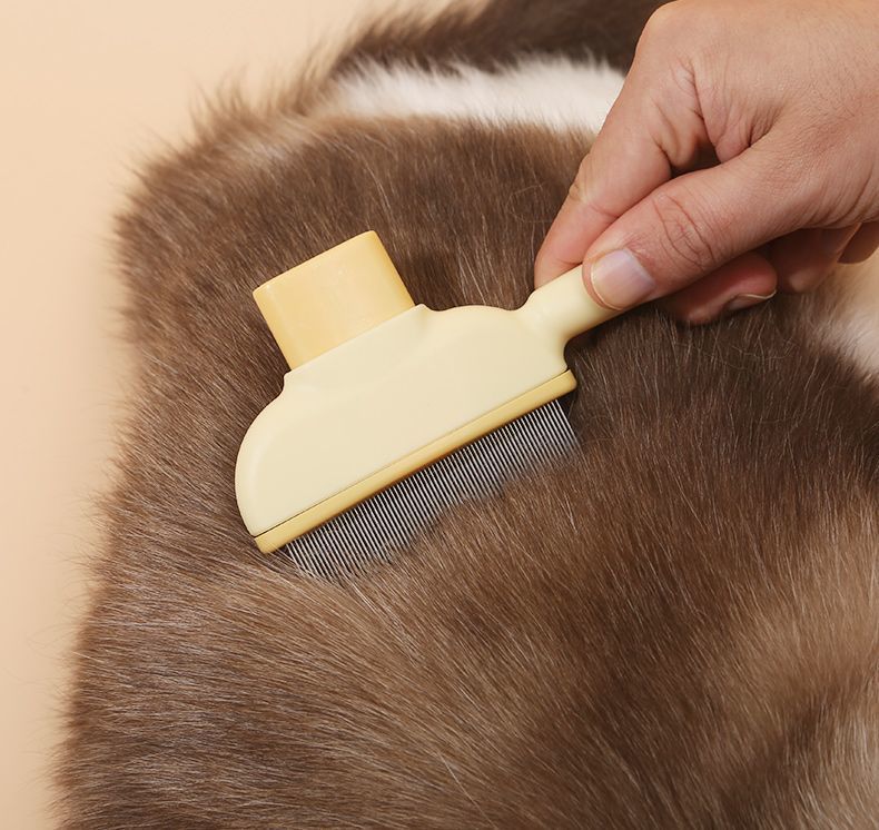 0d1cb808-e55b-4656-959d-b188127ecb7d.jpe