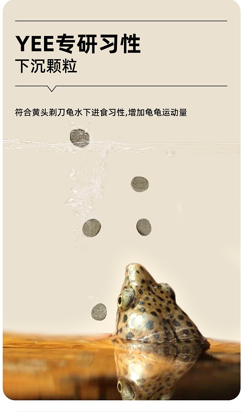 xq6