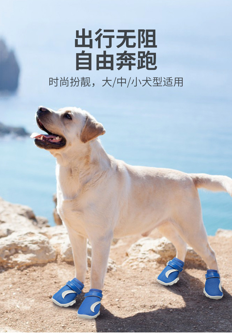 宠物登山鞋
