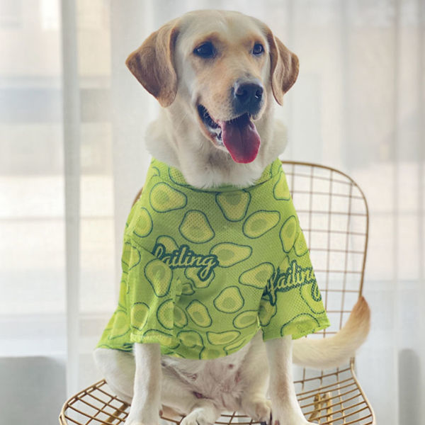 2c8ea276-4ad1-4e26-9491-35b8032ec9bf.jpe