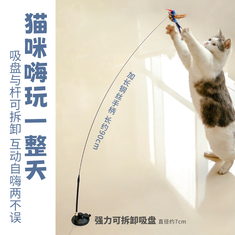 主图ss