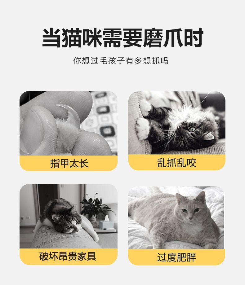 37107876-7084-4b0e-a326-2adc93884270.jpe