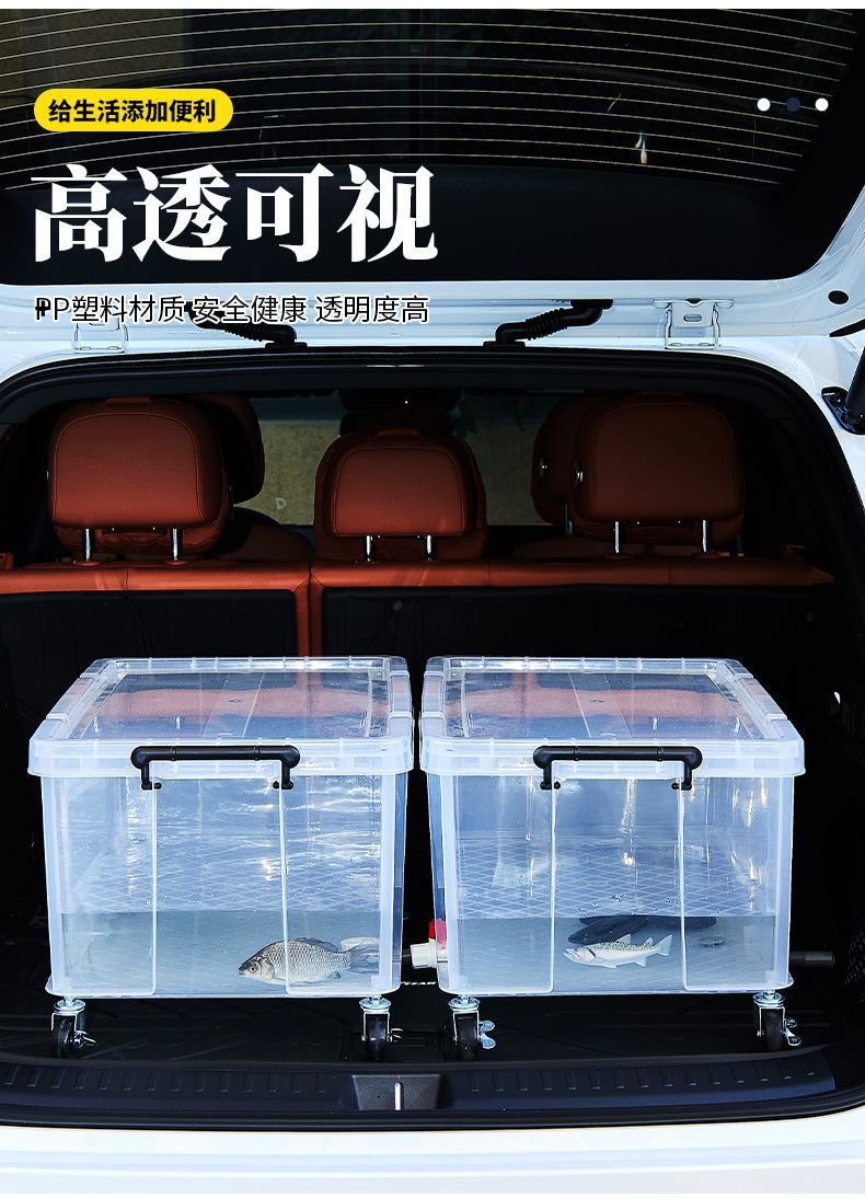 f6b6bb0d-5780-4480-bd93-336a8a2d814f.jpe