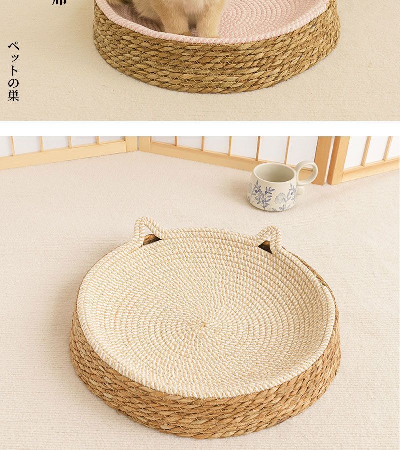 1390ccfd-909a-4912-a6c6-1ba8e660eead.jpe