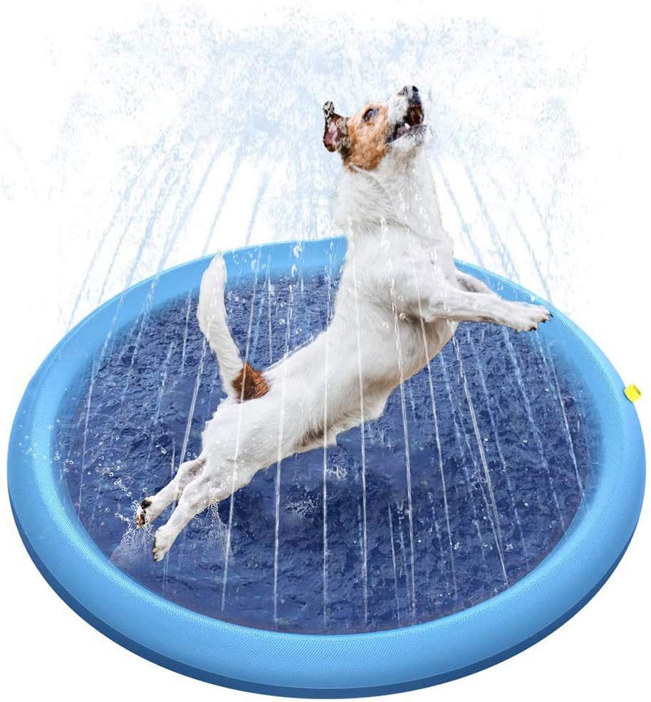 61ETP7r82uL._AC_SL1001_