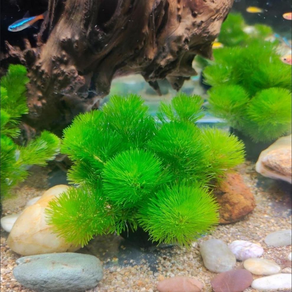 874fcd56-df1f-434a-9fbf-0eba77734bd6.jpe