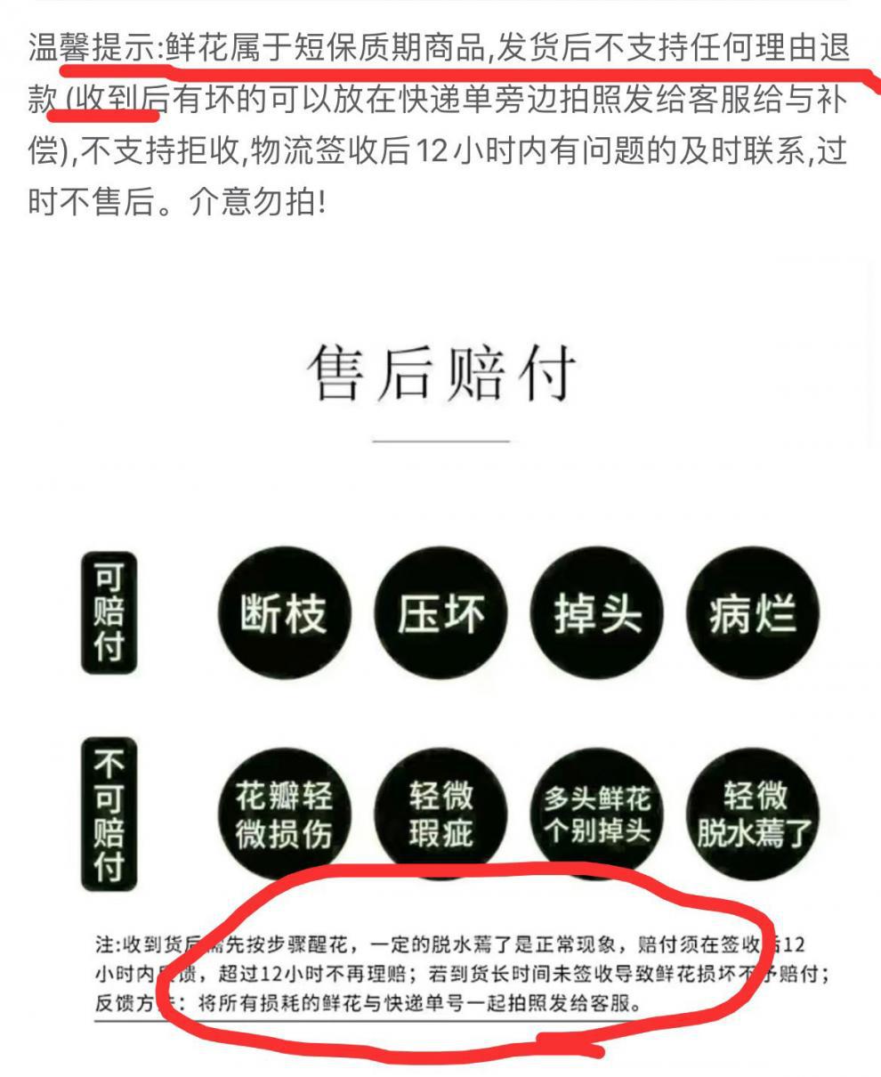 d3bacab0-e6ca-4947-b7d1-3f035bf70ccb.jpe