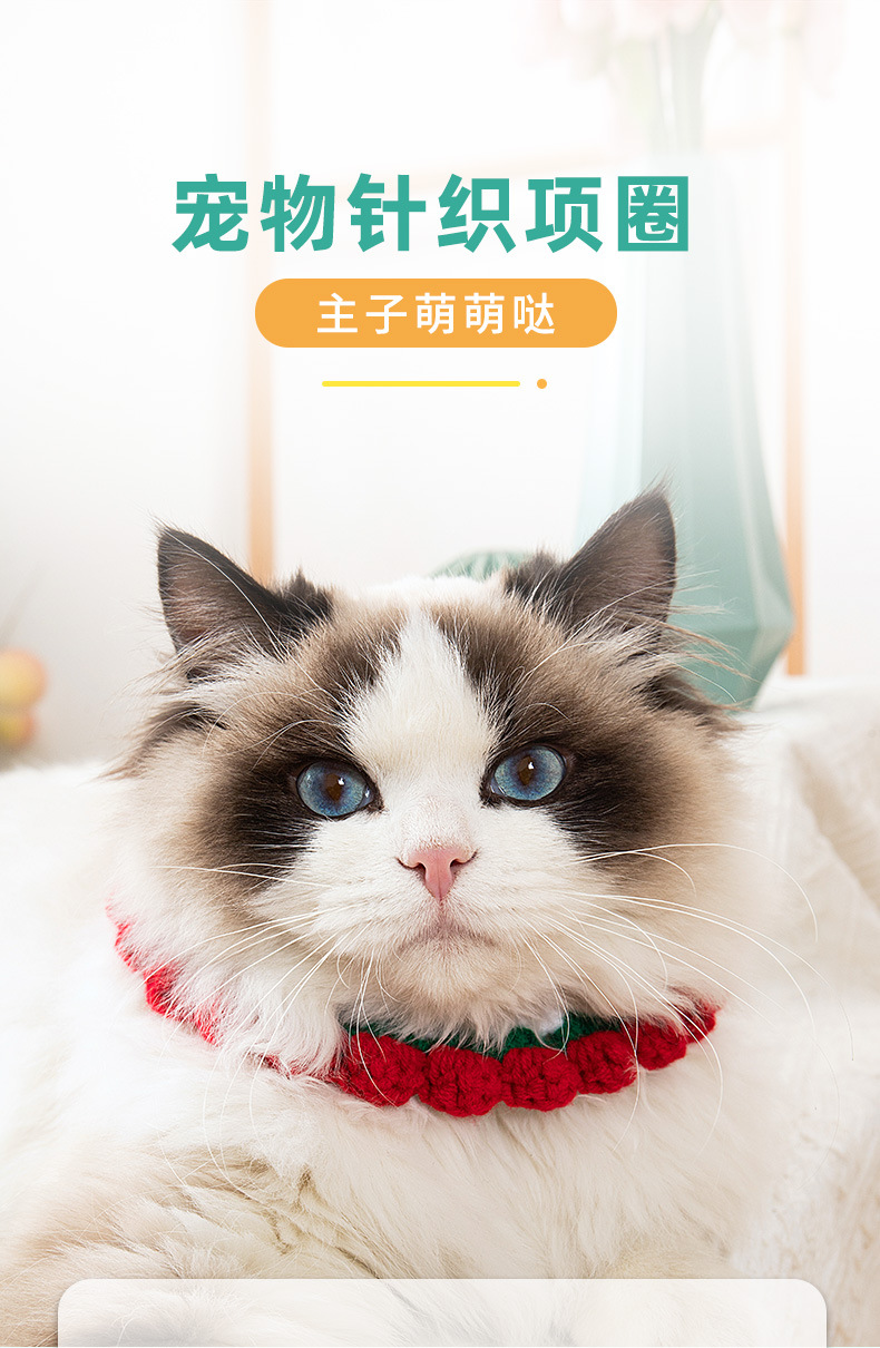 灵喵阿里项圈_01.jpg