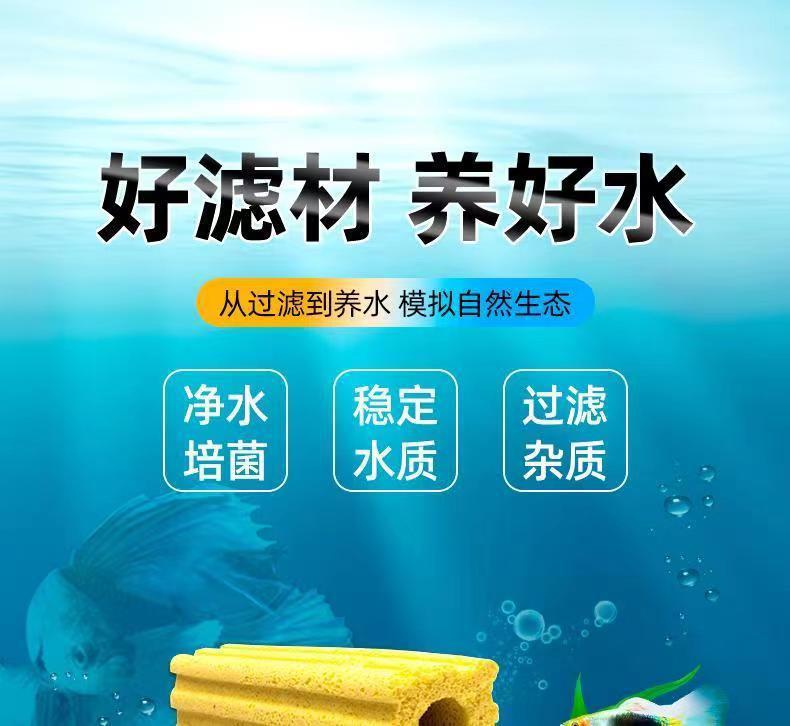 63b04489-6010-4cb9-bf7a-416e27b5340e.jpe