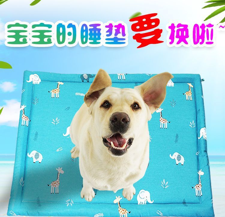 c545416f-3b81-4e78-a987-588528e0a28b.jpe