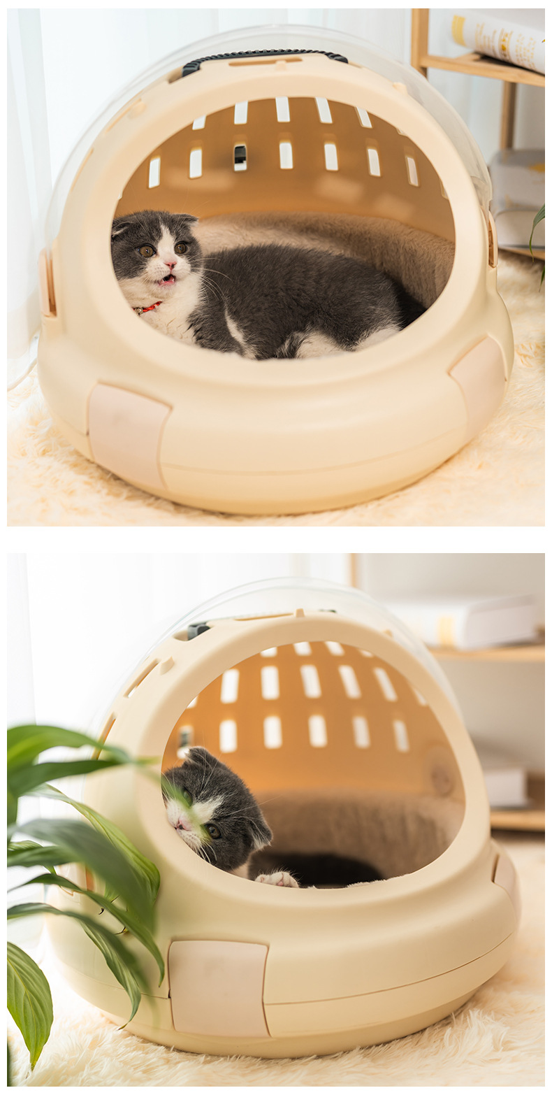 猫笼  (9).jpg