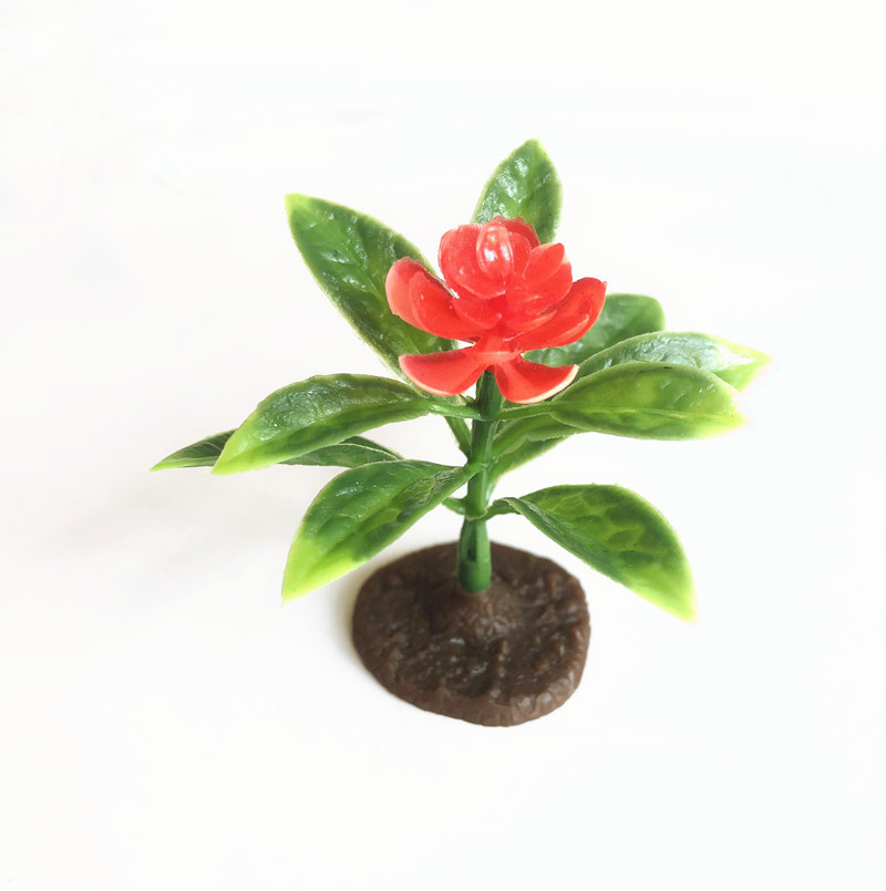 IMG_7465_副本 - 副本