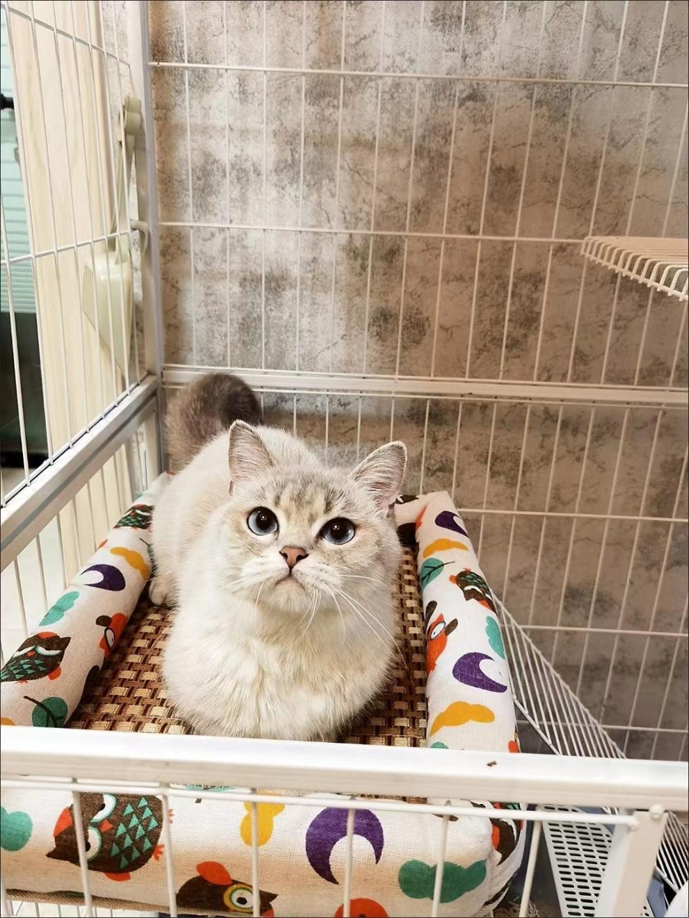 80962ea8-a3ef-4e65-8f13-ba93313b322c.jpe