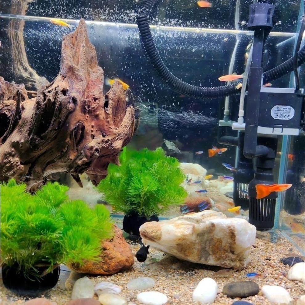 b3bf6faa-aa8b-4ba6-a5f7-f135a6360ba8.jpe