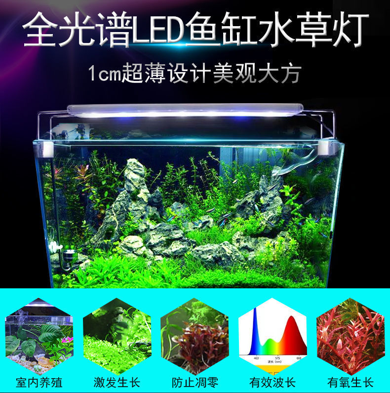 87ff9d04-91c9-4133-8cd2-e670496f10ce.jpe