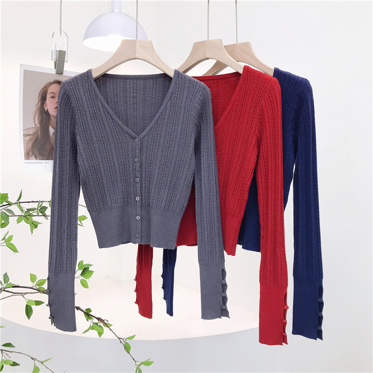 2024_09_16_17_18_IMG_9864_副本.j