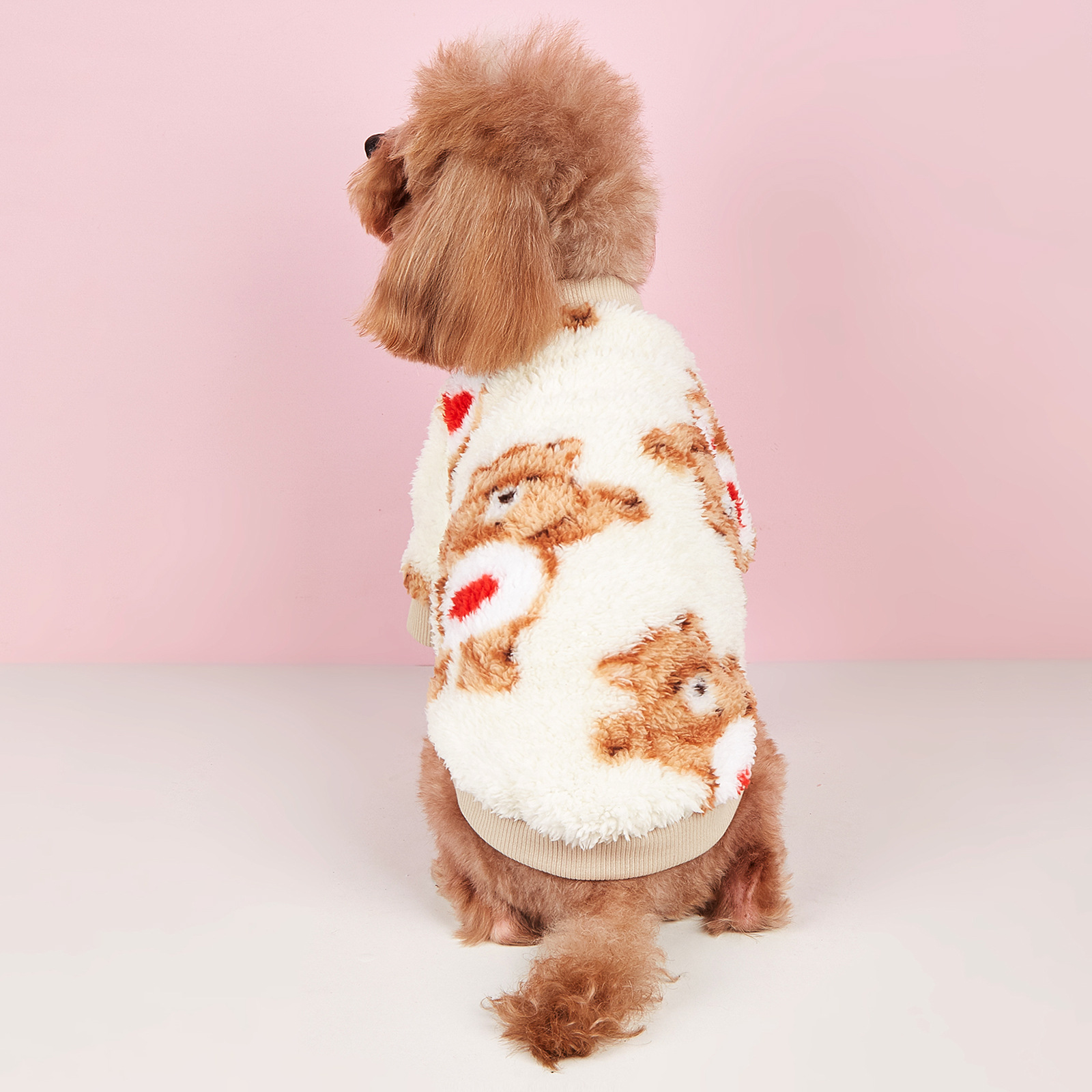 2Z5A1181首图 - 副本.jpg