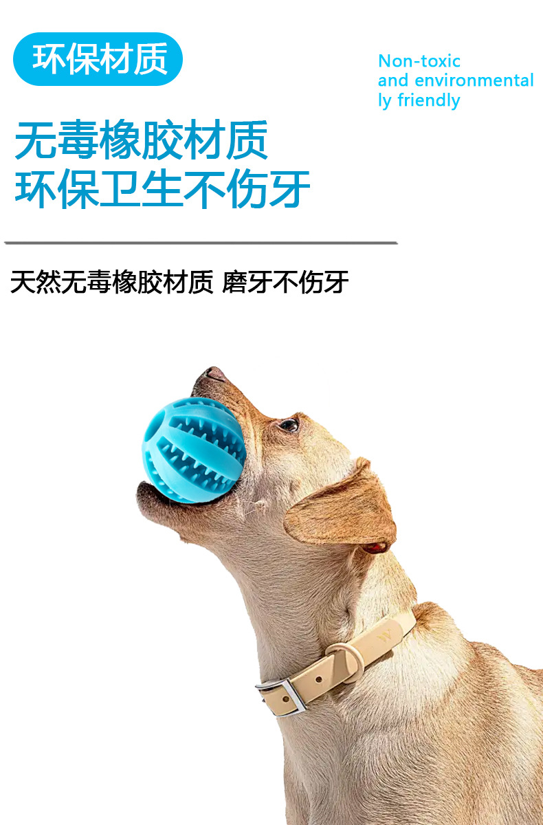详情5.jpg