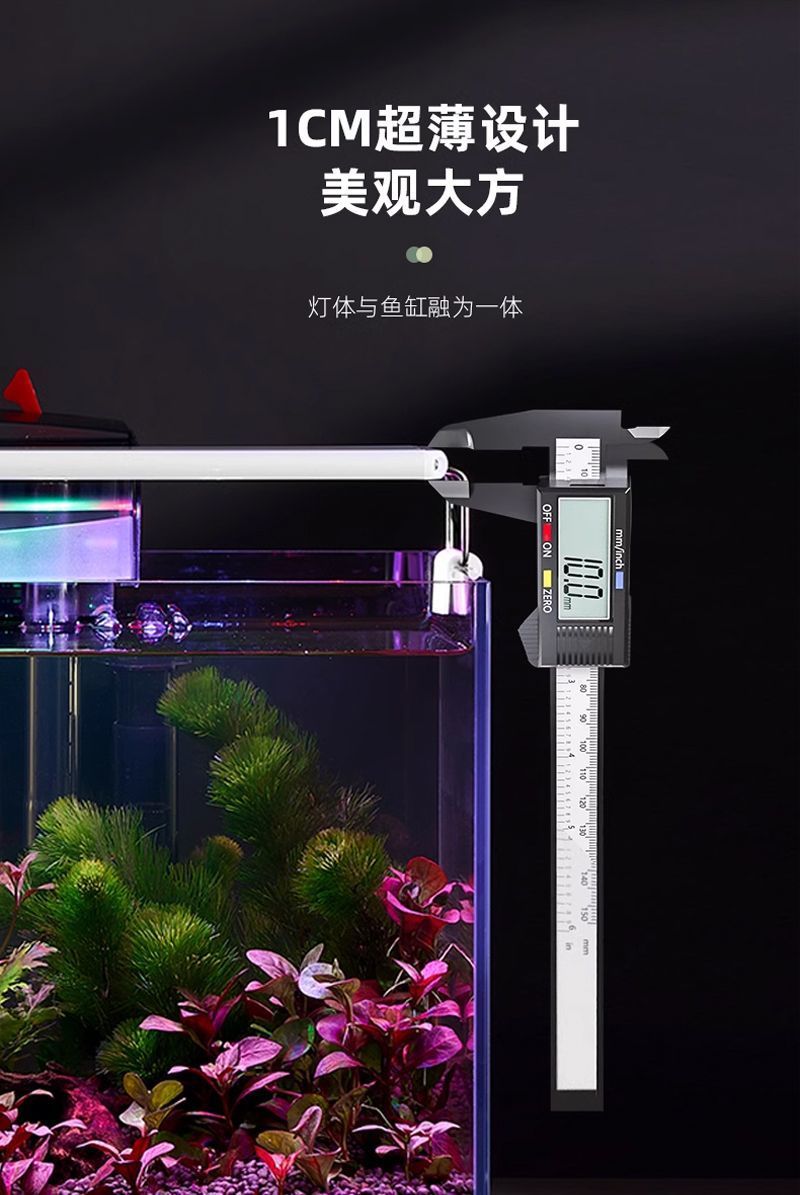 19dcbe4a-9131-4407-82e1-e167ea8855ad.jpe